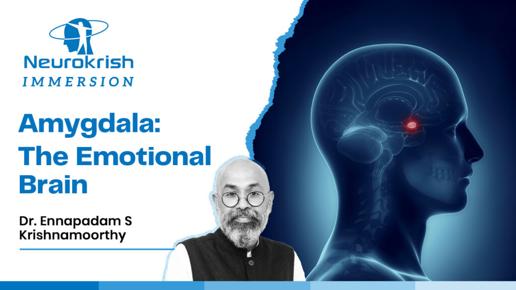 The Emotional Brain: Understanding the Amygdala and Our Inner Knowledge Systems