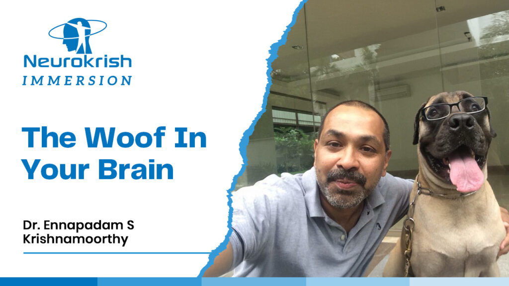 The Woof in Your Brain