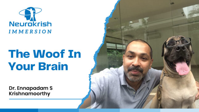 The Woof In Your Brain
